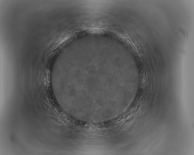 X0000112001301200908031220