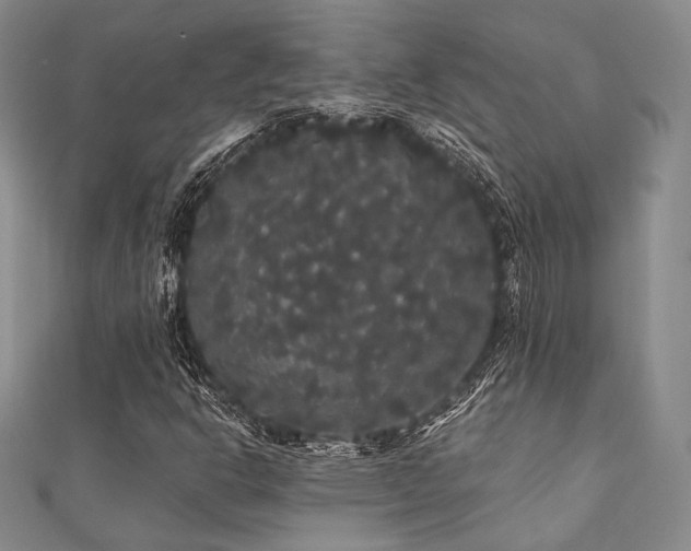 X0000112001302200908031220