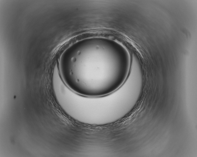 X0000112001304200908031220