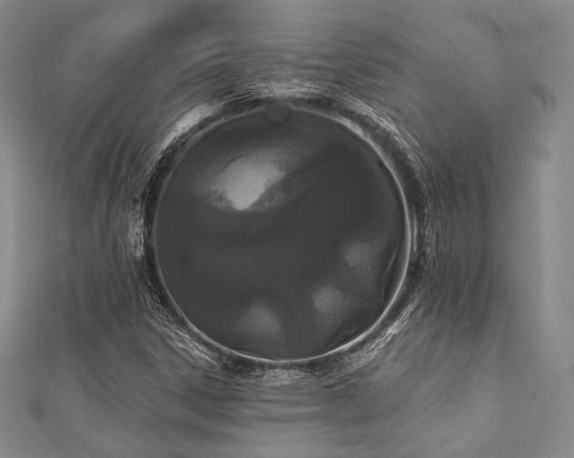 X0000112001306200908031220