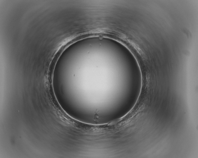 X0000112001308200908031220