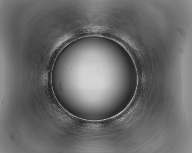 X0000112001309200908031220
