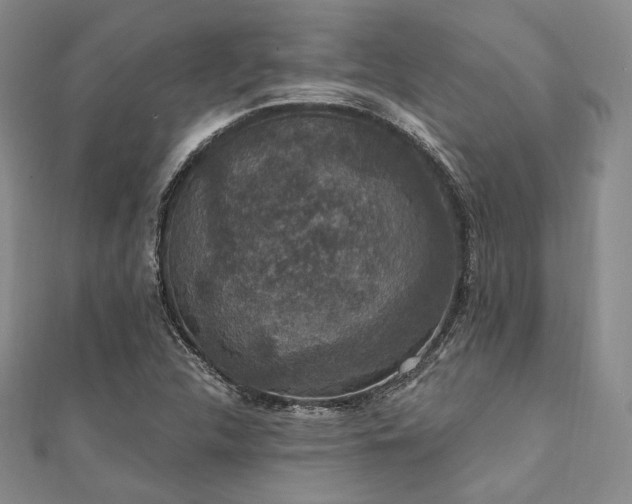 X0000112001312200908031220