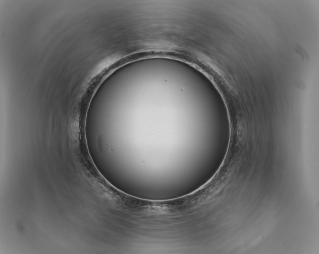 X0000112001315200908031220
