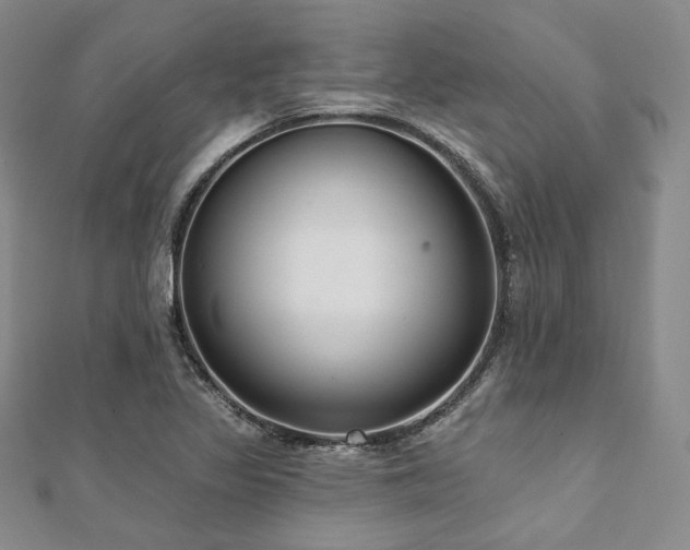 X0000112001317200908031220