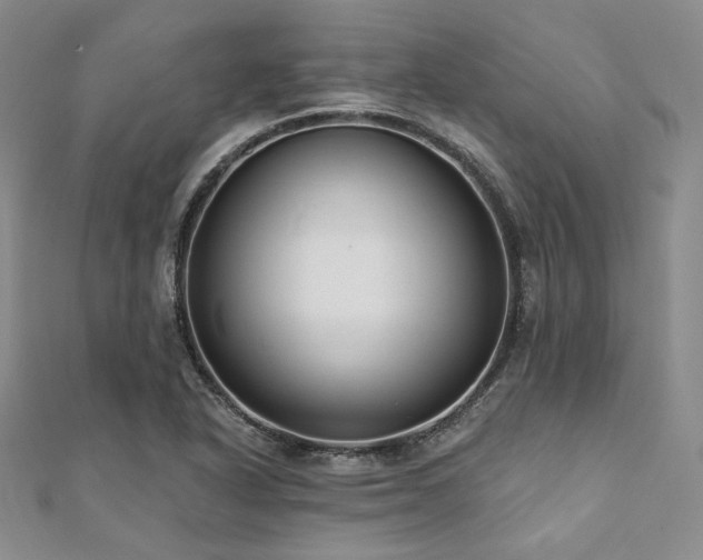 X0000112001318200908031220