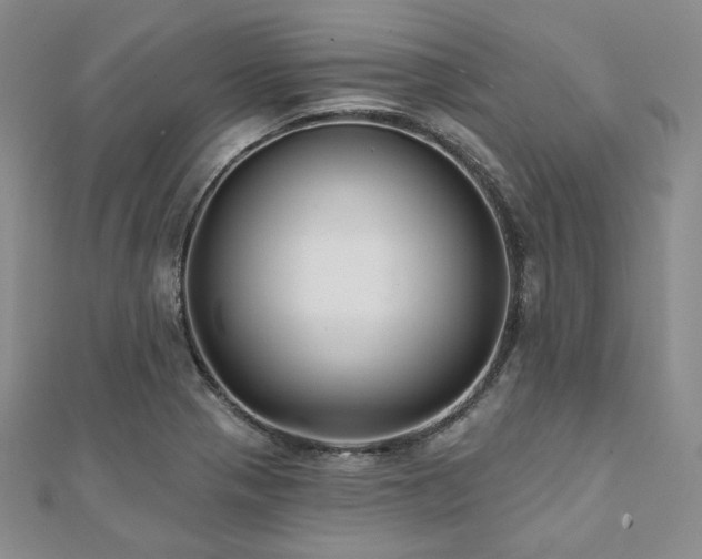 X0000112001321200908031220