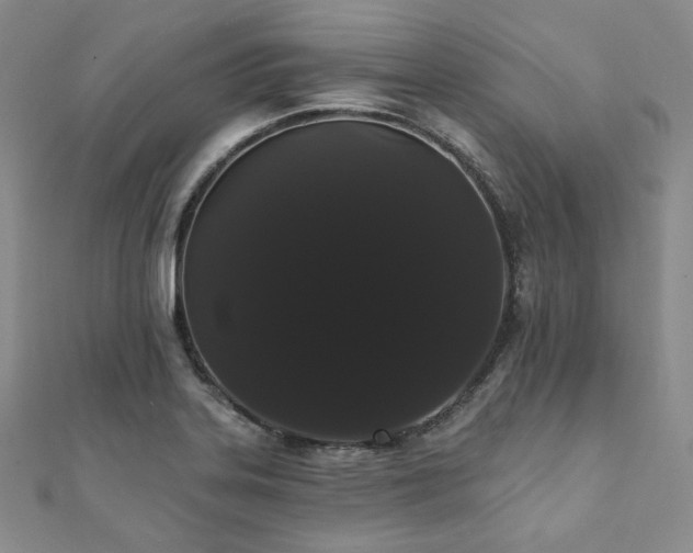 X0000112001323200908031220