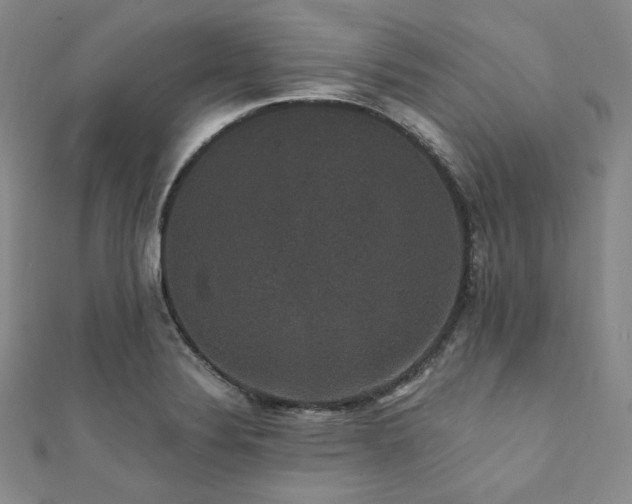 X0000112001324200908031220