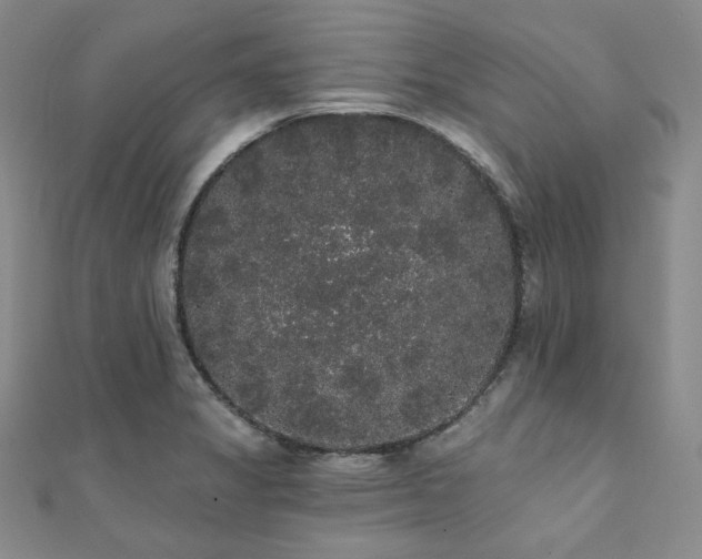 X0000112001325200908031220