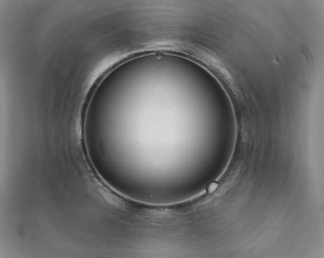 X0000112001328200908031221