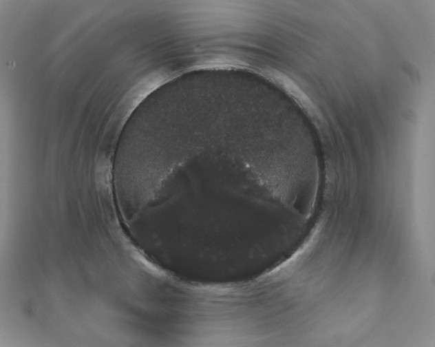 X0000112001329200908031221