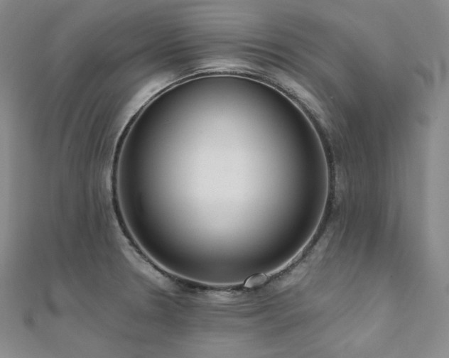 X0000112001330200908031221