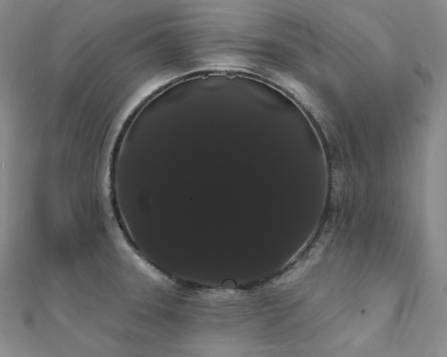 X0000112001331200908031221