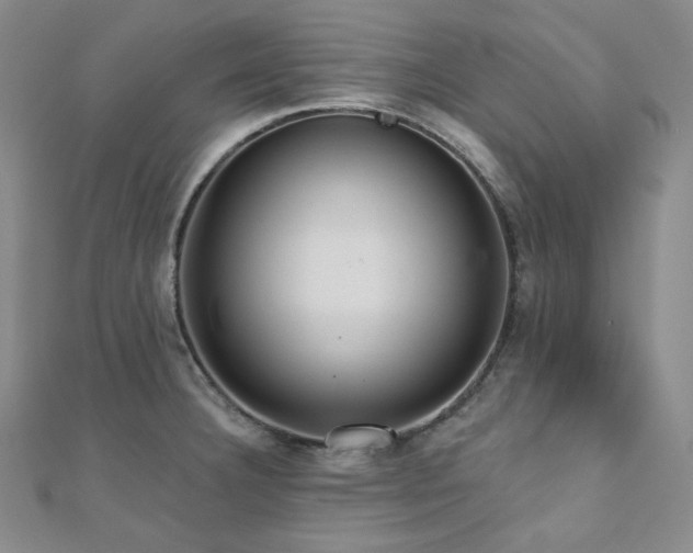 X0000112001332200908031221