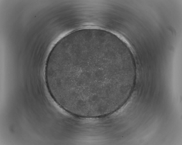 X0000112001333200908031221