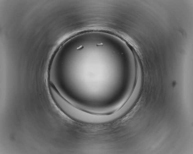 X0000112001334200908031221