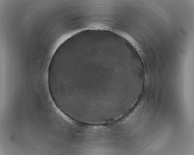 X0000112001335200908031221