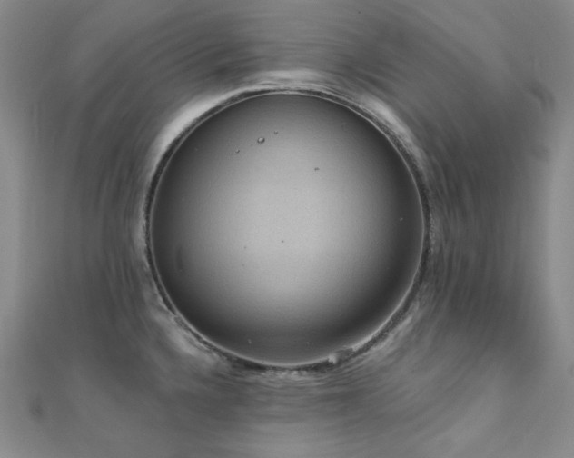 X0000112001336200908031221