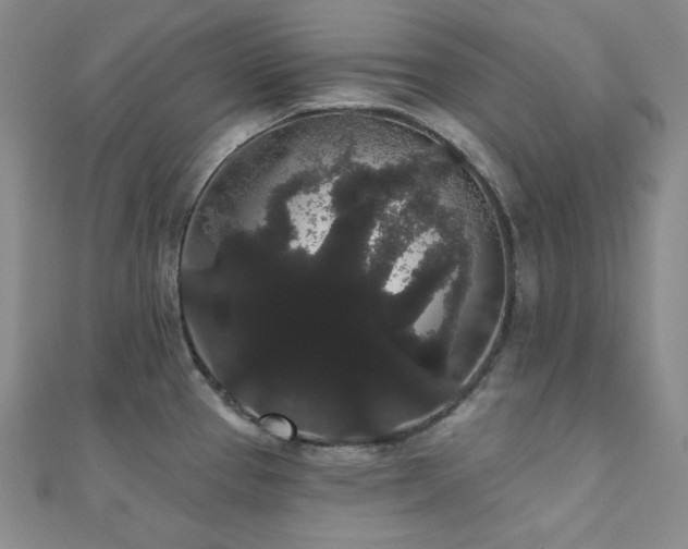 X0000112001337200908031221