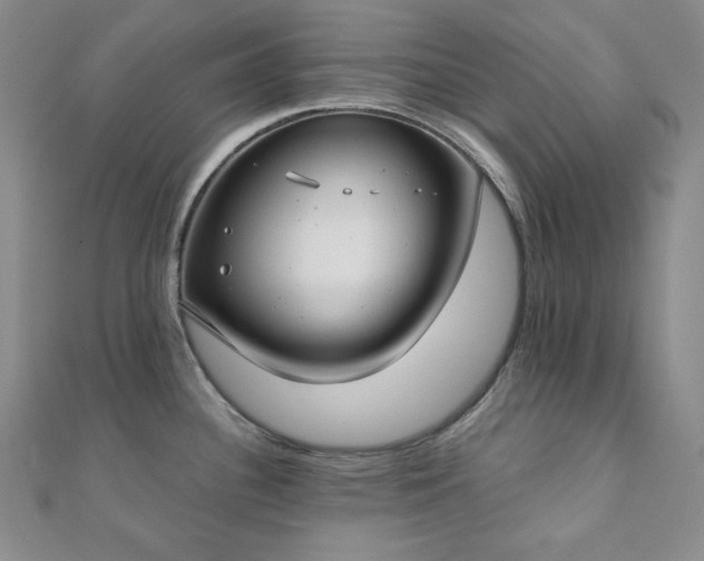X0000112001340200908031221