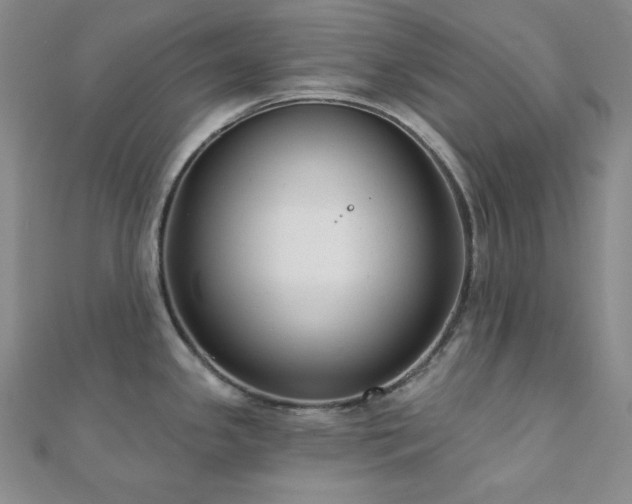 X0000112001341200908031221