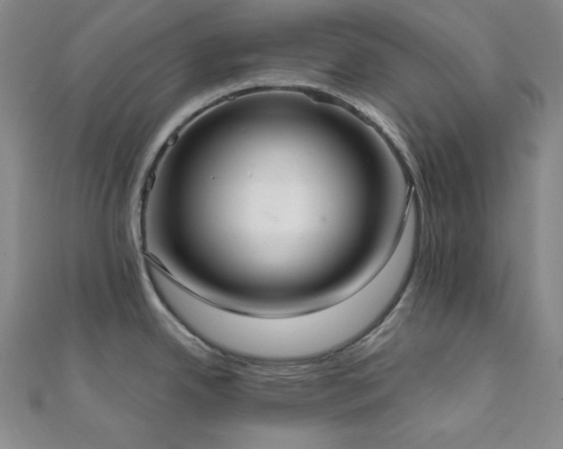 X0000112001342200908031221