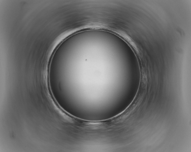 X0000112001343200908031221