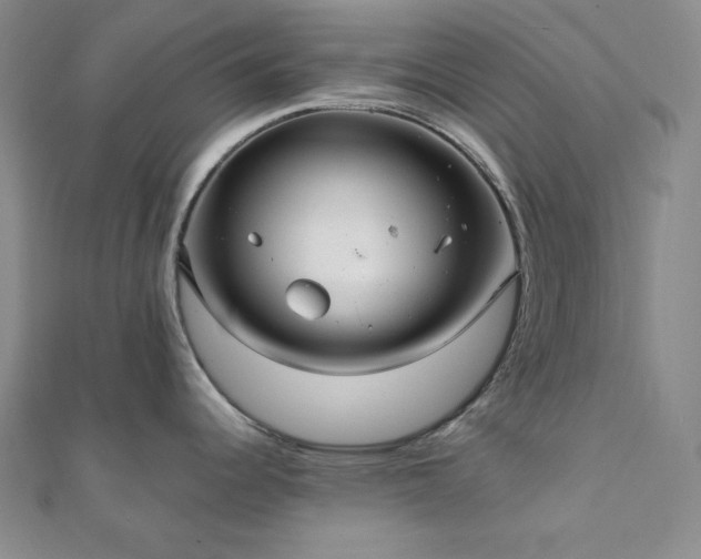 X0000112001344200908031221