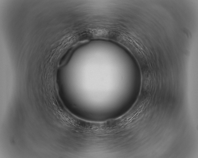 X0000112001345200908031220