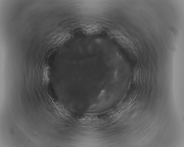 X0000112001346200908031220