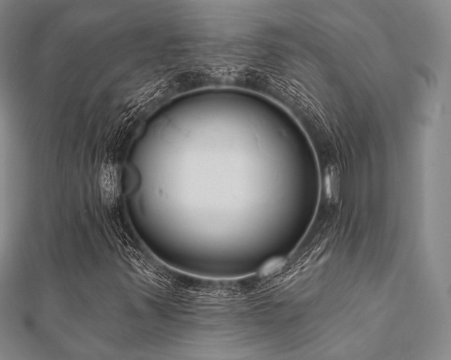 X0000112001347200908031220