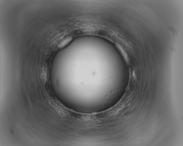 X0000112001348200908031220