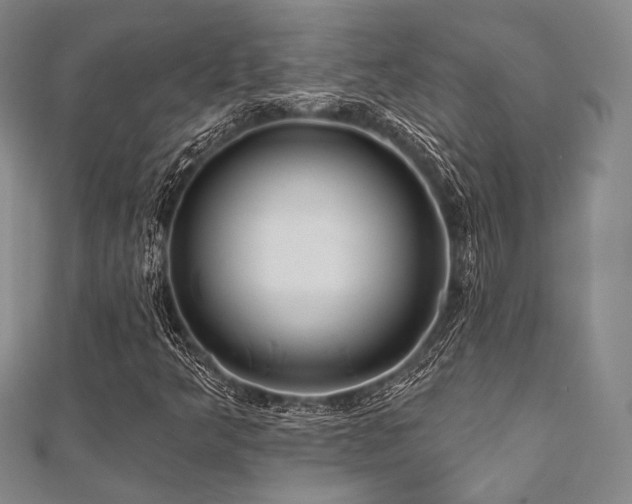 X0000112001349200908031220