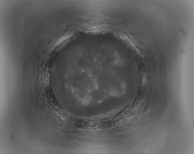X0000112001350200908031220