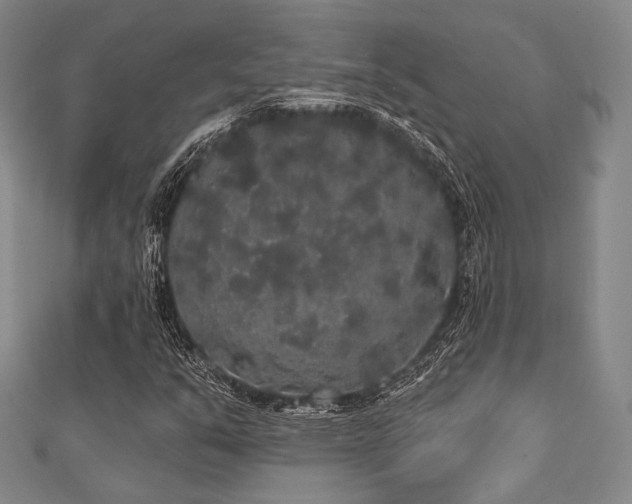 X0000112001351200908031220
