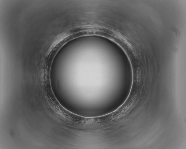 X0000112001352200908031220