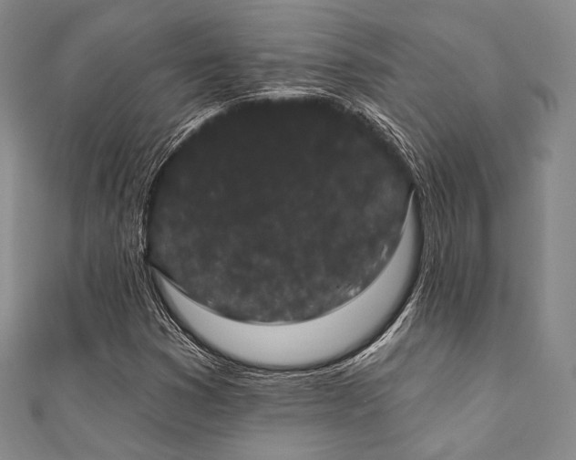 X0000112001353200908031220
