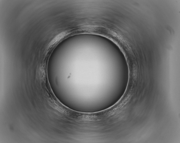 X0000112001354200908031220