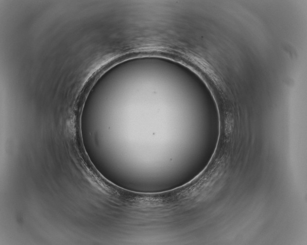 X0000112001356200908031220