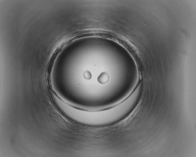 X0000112001357200908031220