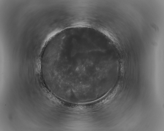 X0000112001358200908031220