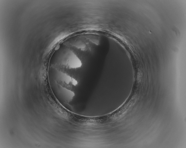 X0000112001359200908031220