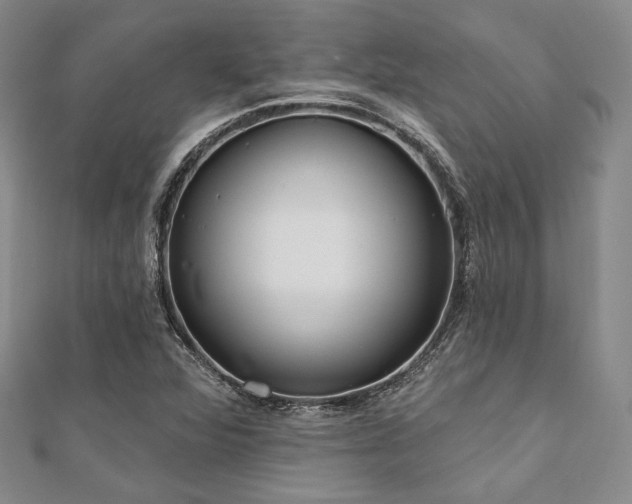 X0000112001360200908031220