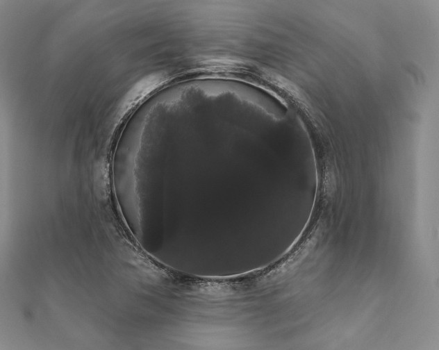 X0000112001362200908031220