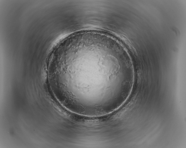 X0000112001363200908031220