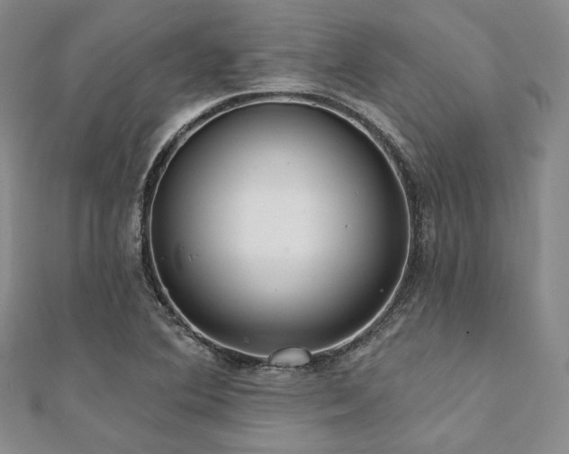 X0000112001364200908031220