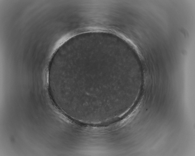 X0000112001365200908031220
