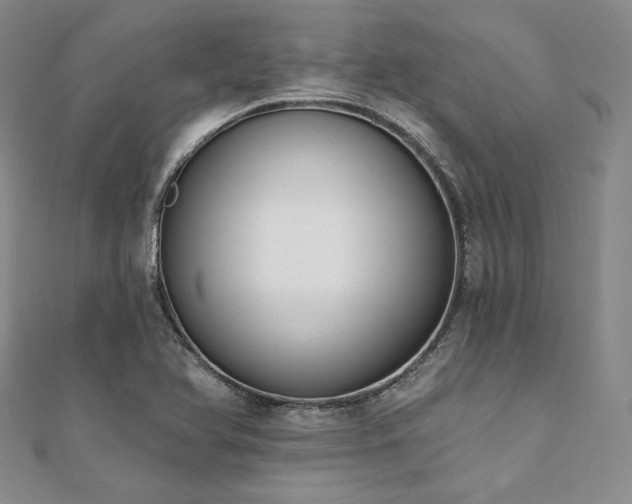 X0000112001366200908031220