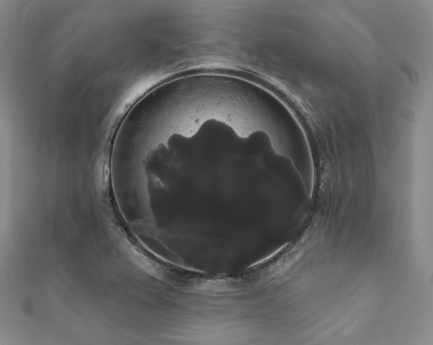 X0000112001367200908031220
